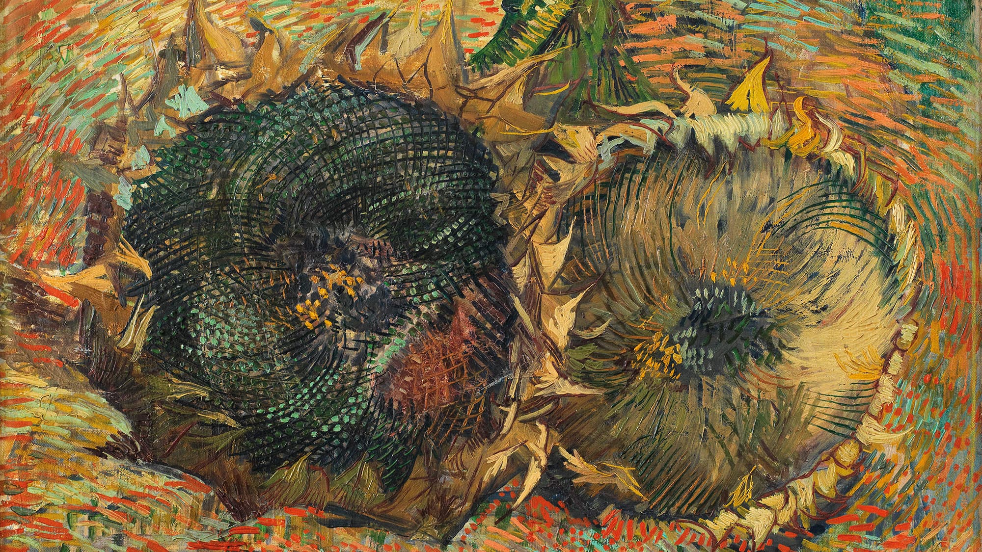 Vincent van Gogh, Verblühte Sonnenblumen