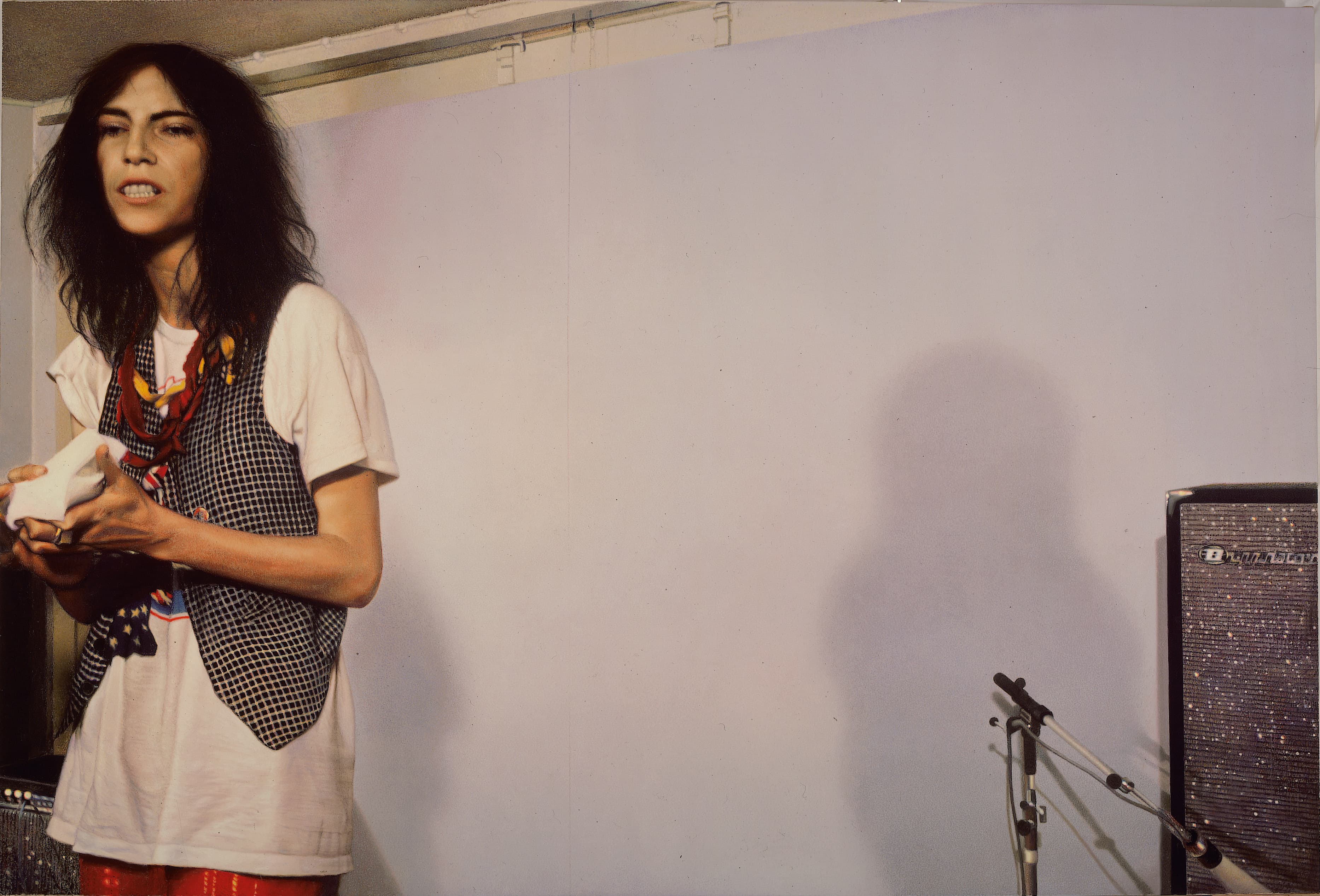 Werk von Franz Gertsch